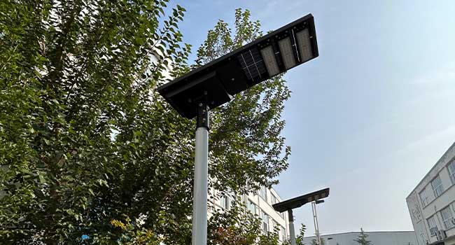 solar street light